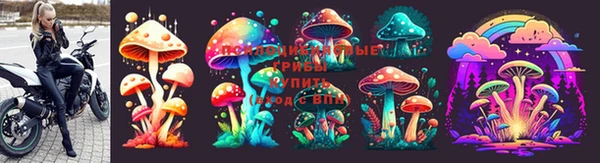 гашик Балахна