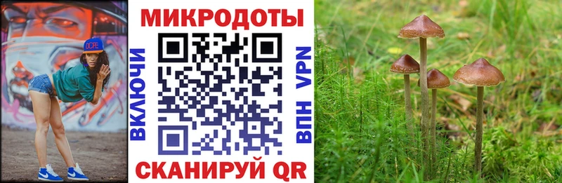 Галлюциногенные грибы Cubensis  наркошоп  Кулебаки 